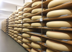 Käselagerung InterCheese AG